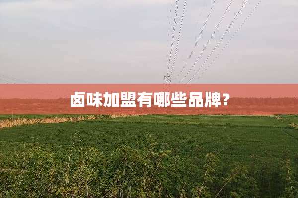 卤味加盟有哪些品牌？