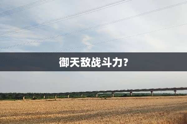 御天敌战斗力？