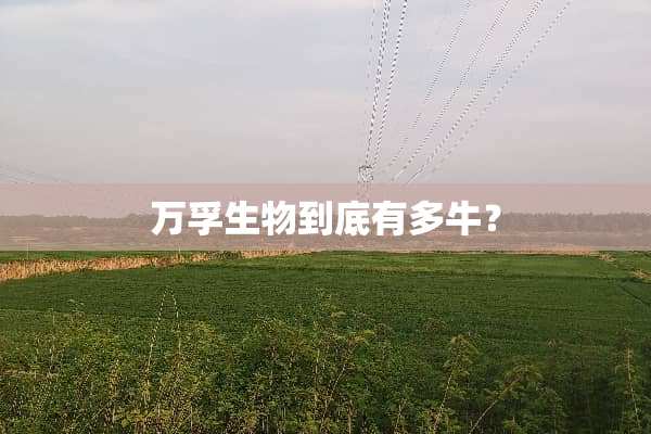 万孚生物到底有多牛？