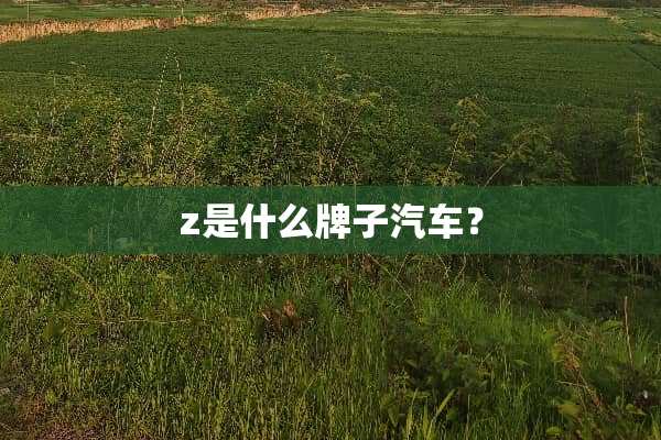 z是什么牌子汽车？