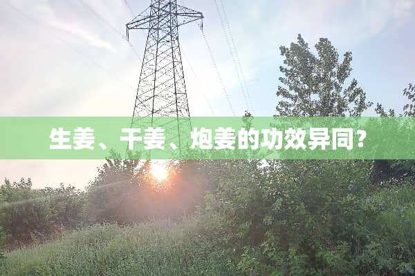 生姜、干姜、*姜的功效异同？