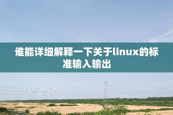 谁能详细解释一下关于linux的标准输入输出