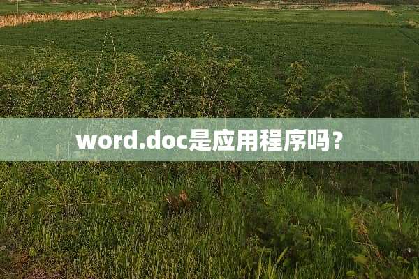 word.doc是应用程序吗？