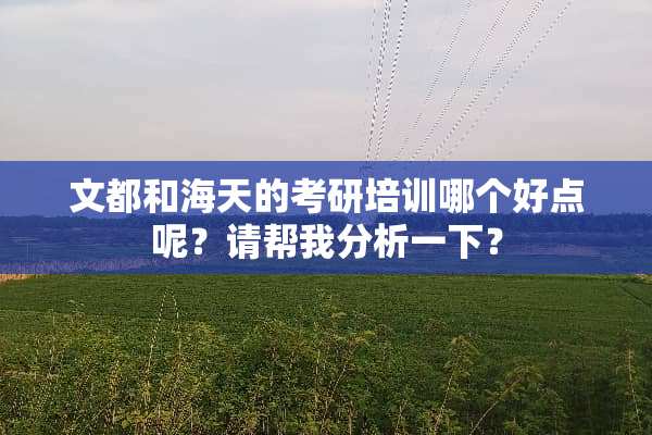 文都和海天的考研培训哪个好点呢？请帮我分析一下？