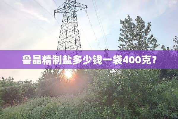 鲁晶精制盐多少钱一袋400克？