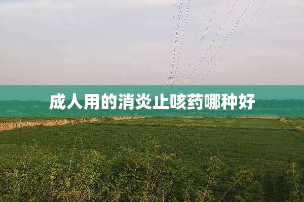 **用的消炎止咳药哪种好
