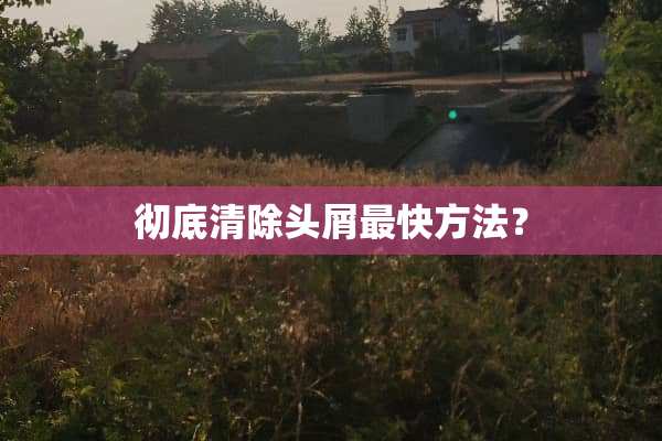 彻底清除头屑最快方法？