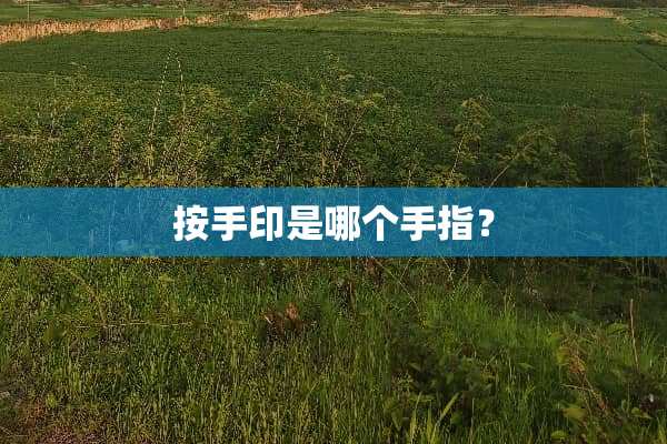 按手印是哪个手指？