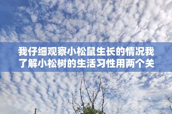 我仔细观察小松鼠生长的情况我了解小松树的生活习性用两个关联词连成一句话怎连？