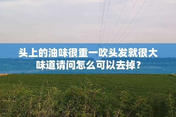 头上的油味很重一吹头发就很大味道请问怎么可以去掉？