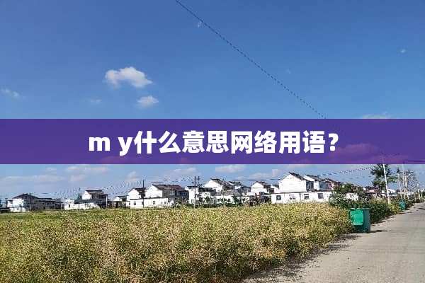 m y什么意思网络用语？