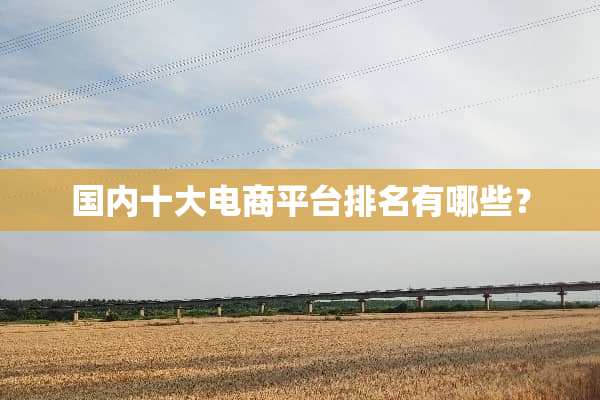 国内十大电商平台排名有哪些？