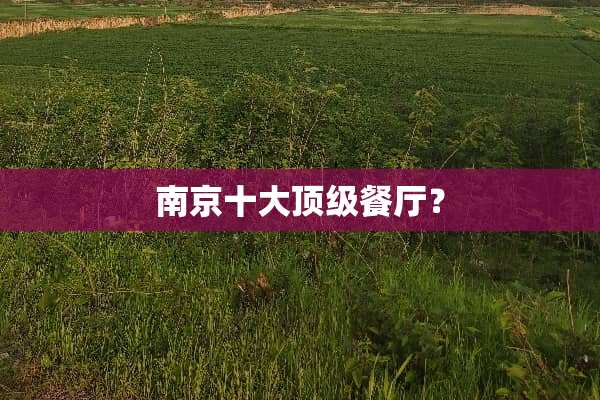 南京十大**餐厅？