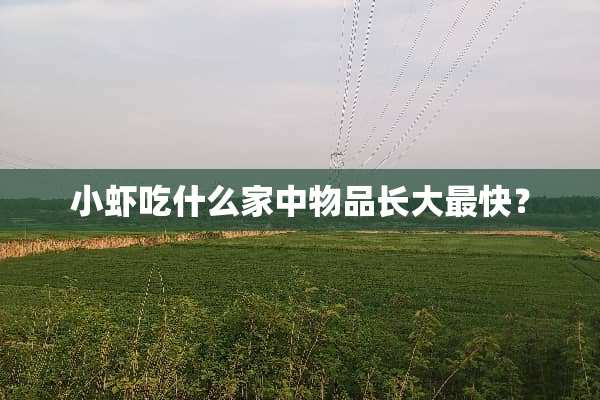 小虾吃什么家中物品长大最快？