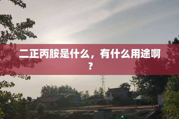 二正丙胺是什么，有什么用途啊？