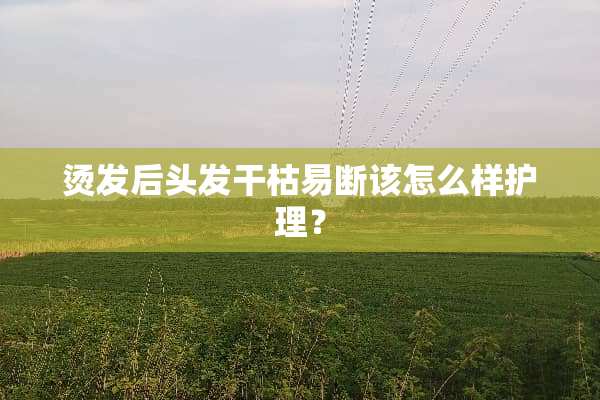 烫发后头发干枯易断该怎么样护理？