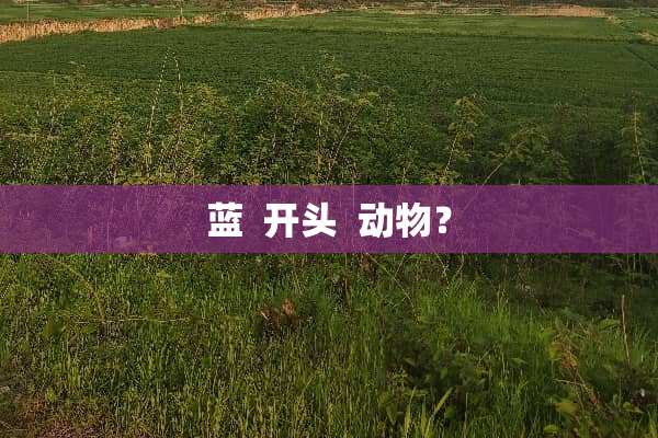 蓝  开头  动物？