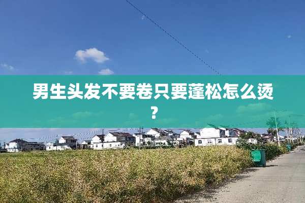 男生头发不要卷只要蓬松怎么烫？