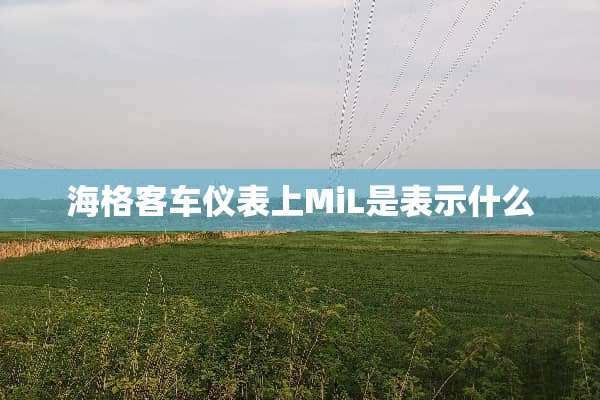 海格客车仪表上MiL是表示什么