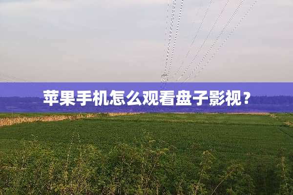 苹果手机怎么观看盘子影视？