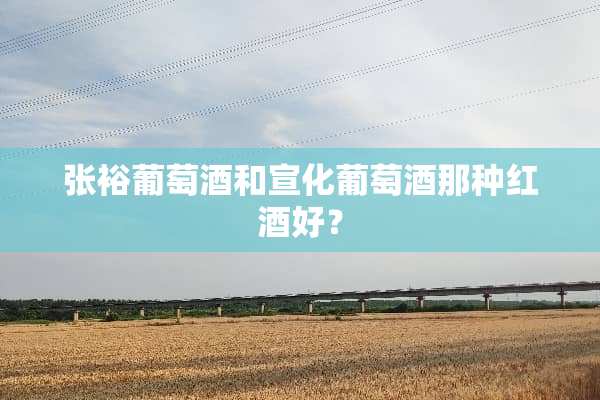 张裕葡萄酒和宣化葡萄酒那种红酒好？