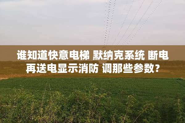 谁知道快意电梯 默纳克系统 断电再送电显示消防 调那些参数？