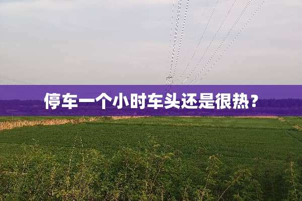 停车一个小时车头还是很热？