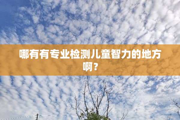 哪有有专业检测儿童智力的地方啊？