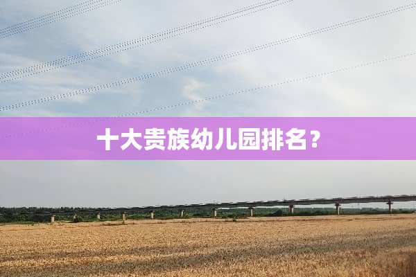 十大贵族幼儿园排名？