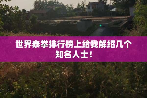 世界泰拳排行榜上给我解绍几个知名人士！