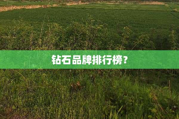钻石品牌排行榜？