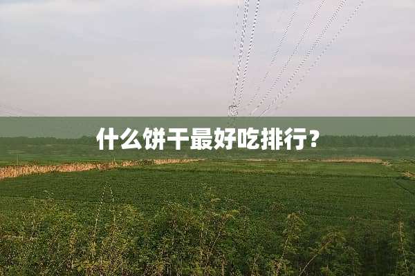 什么饼干最好吃排行？
