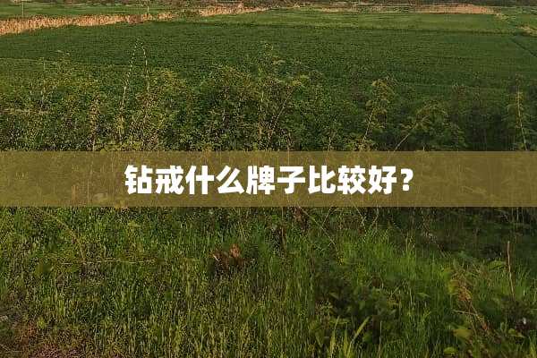 钻戒什么牌子比较好？