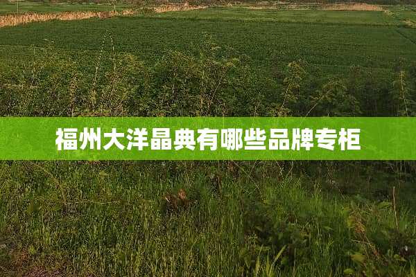 福州大洋晶典有哪些品牌专柜