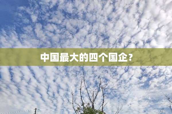 中国最大的四个国企？