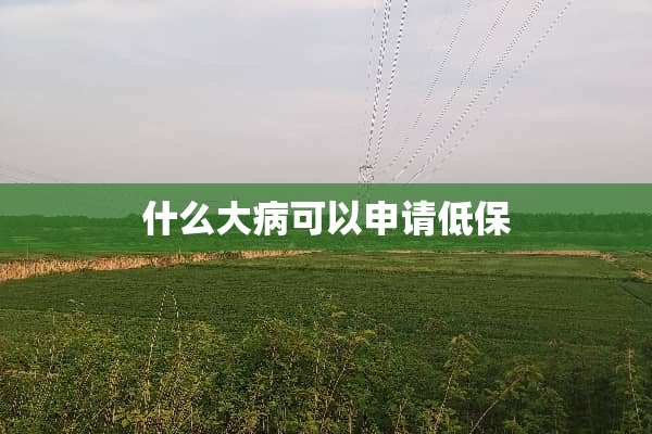 什么大病可以申请低保