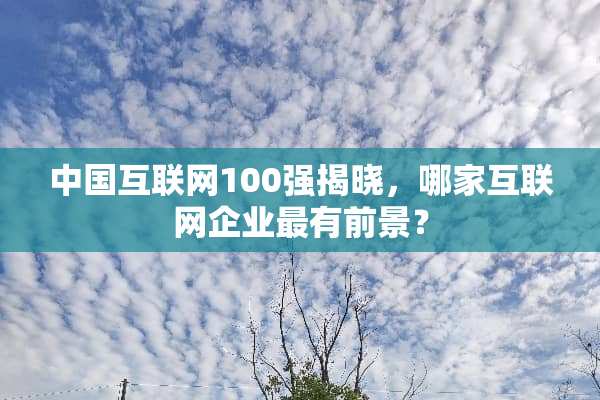 中国互联网100强揭晓，哪家互联网企业最有前景？