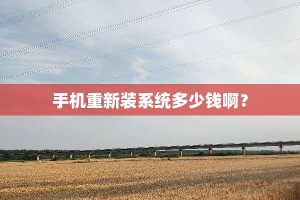 手机重新装系统多少钱啊？
