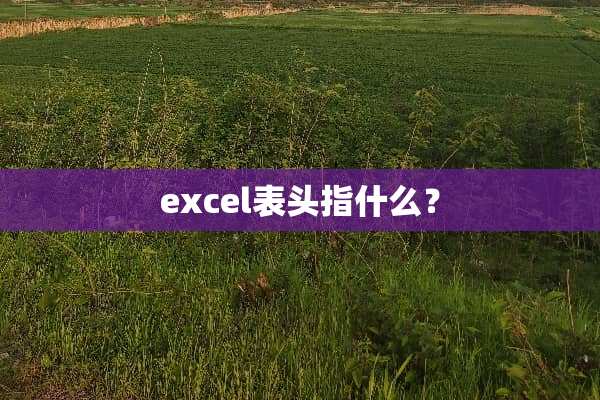 excel表头指什么？