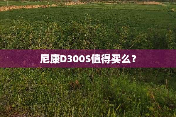 尼康D300S值得买么？