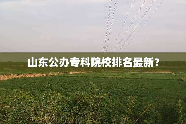 山东公办专科院校排名最新？
