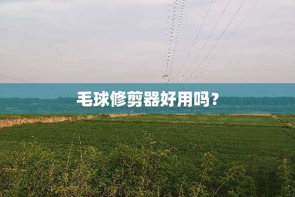 毛球修剪器好用吗？