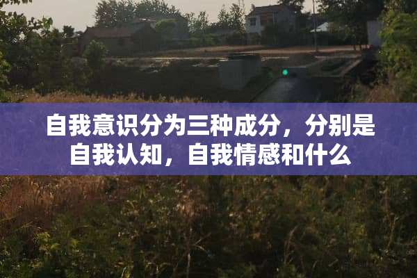 自我意识分为三种成分，分别是自我认知，自我情感和什么