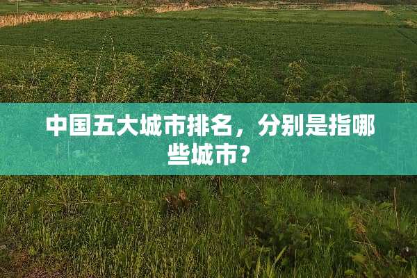 中国五大城市排名，分别是指哪些城市？