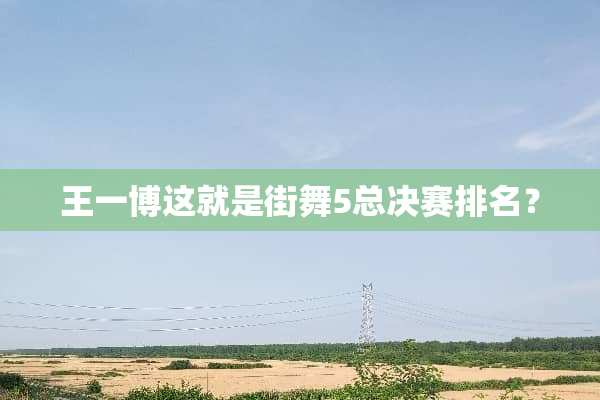王一博这就是街舞5总决赛排名？