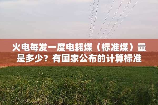 火电每发一度电耗煤（标准煤）量是多少？有国家公布的计算标准或者依据吗？