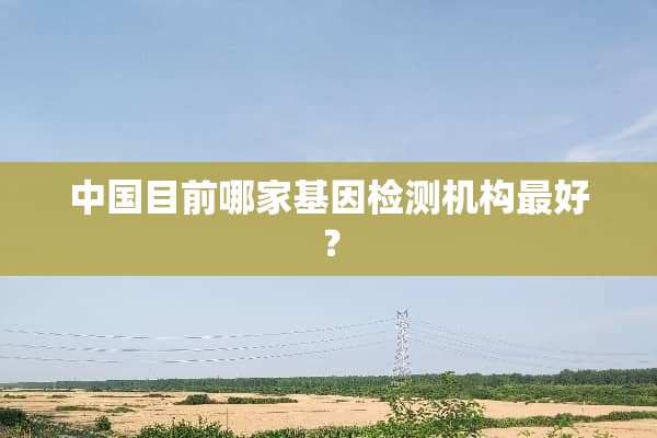 中国目前哪家基因检测机构最好？