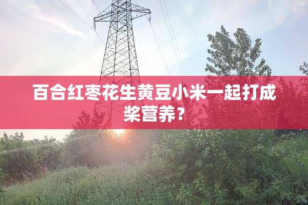百合红枣花生黄豆小米一起打成桨营养？