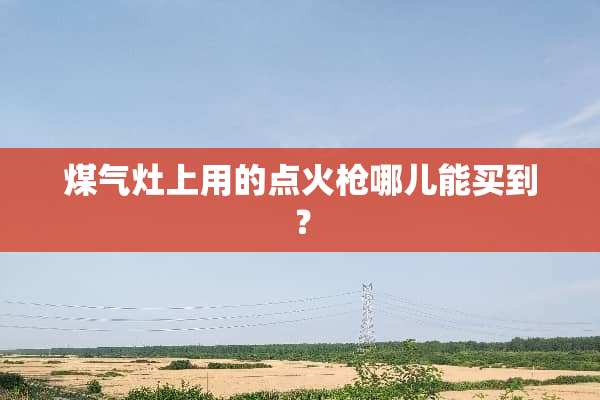 煤气灶上用的点火*哪儿能买到？