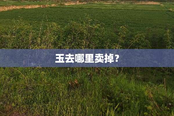 玉去哪里卖掉？